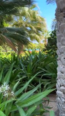 Turizm Merkezinde Stone Garden sergileniyor. Çevreye meraklı doğa severlerin ilgisini çekiyor. Stone Garden 'daki her detay, unutulmaz turizm manzarasını şekillendirerek, ahenkle çarpıyor.