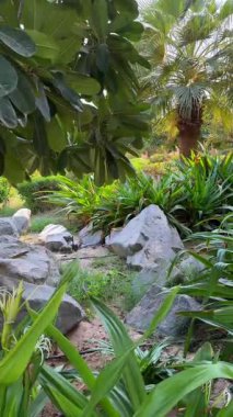 Turist Mekanı huzurlu bir Taş Bahçesi sunarak huzurlu manzaralar arayan gezginleri cezbediyor. Özenle dizayn edilen Stone Garden, doğa vuruşlarını artırarak Turizm Bölgesi 'nde uyum sağlıyor..