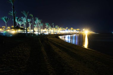 Geceleri palmiyeleri olan bir sahil.