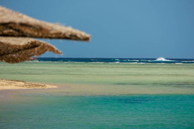 Güneş şemsiyeli bir deniz manzarası.