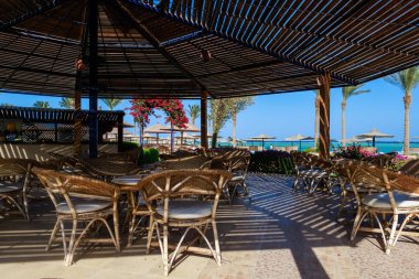 Yazın Mısır Bikini Barı