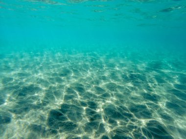 Mısır 'daki sualtı dünyası