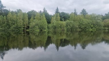 Kıyıdaki güzel göl.