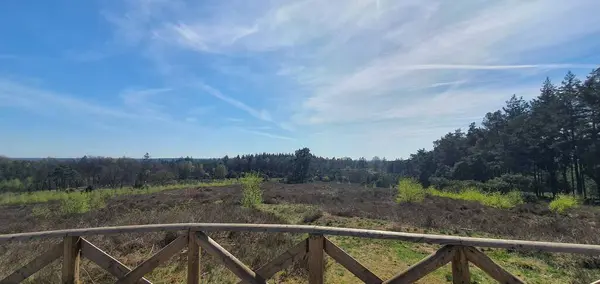 Sabahları parkın manzarası.