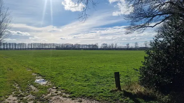 Hollanda 'da bahar. Hollanda kırsalında