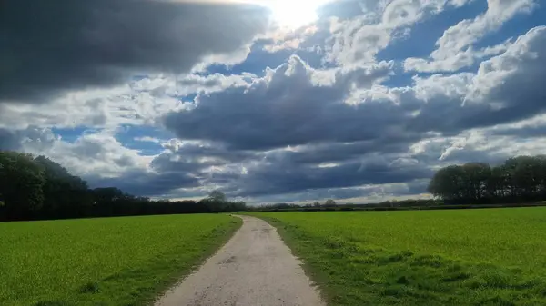 Ormanda yol