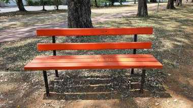 Güzel ve mavi gökyüzü ve güneş ışığı olan yeşil ve uzun ağaçlar.