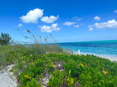 Beyaz kum, yeşillik ve mavi gökyüzü ve beyaz bulutları olan turistik sularla dolu bir sahil.