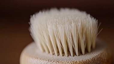 Yumuşak tüylü bir fırça yakın plan, muhtemelen Groomi için kullanılır.