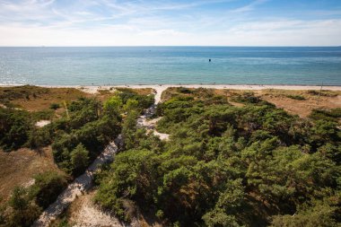 Almanya 'daki Prerow Mecklenburg-Vorpommern' deki Darss yarımadasının güzel plaj manzarası ve kıyı manzarası.