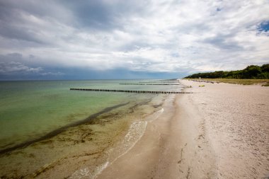 Penisula Darss 'ın güzel sahil manzarası, Mecklenburg Vorpommern, Almanya Bulutlu gökyüzü