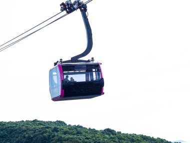 Pembe bir teleferiğin ve yeşilliğin detaylı görüntüsü.