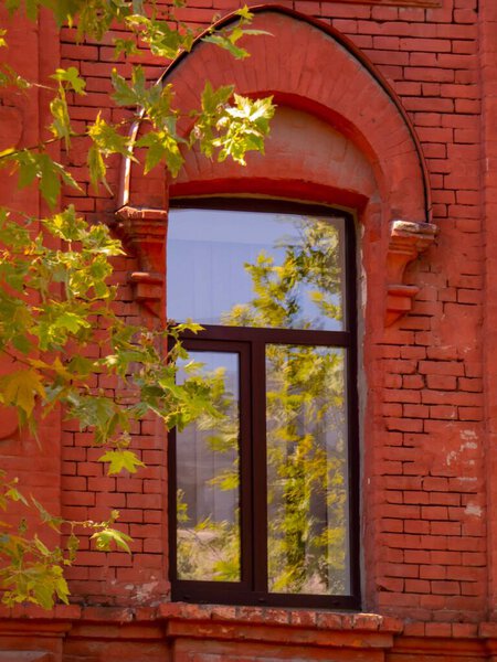 The facade of an old building with an arched red brick window reflecting the summer foliage of a tree