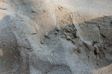 Beyaz kumsaldaki kumun doğal desenli yüksek kaliteli arka planı. Yakın plan, tropikal tatil beldesindeki kumlu kahverengi yüzeyi düşük açı. Tatil ve yaz tatili konsepti. Seçici odak.