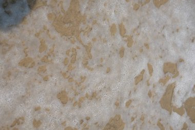 Kahverengi kumsal manzaralı deniz köpüğünü kapat. Soyut arkaplan