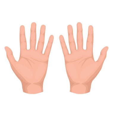 Ellerinizi kaldırın. Aksesuarları birlikte yükselen çeşitli insan kolları. Uluslararası gönüllü topluluk kavramı. Beyaz arkaplanda izole edilmiş renkli düz vektör çizimi