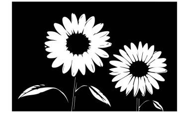 Daisy Flower - Spring summer flower artwork, flower design clipart