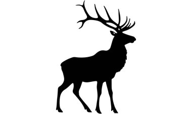 Elk, deer - Elk, deer silhouette, outline, logo, design, profile clipart