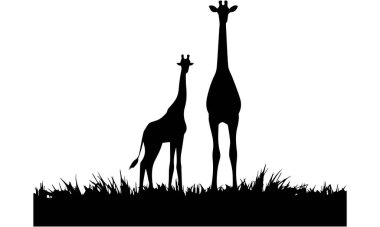 Zürafa, zürafa silueti, hayvan vektör çizimi savanda hayvan silueti. Afrika manzarası