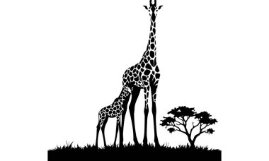 Zürafa, zürafa silueti, hayvan vektör çizimi savanda hayvan silueti. Afrika manzarası