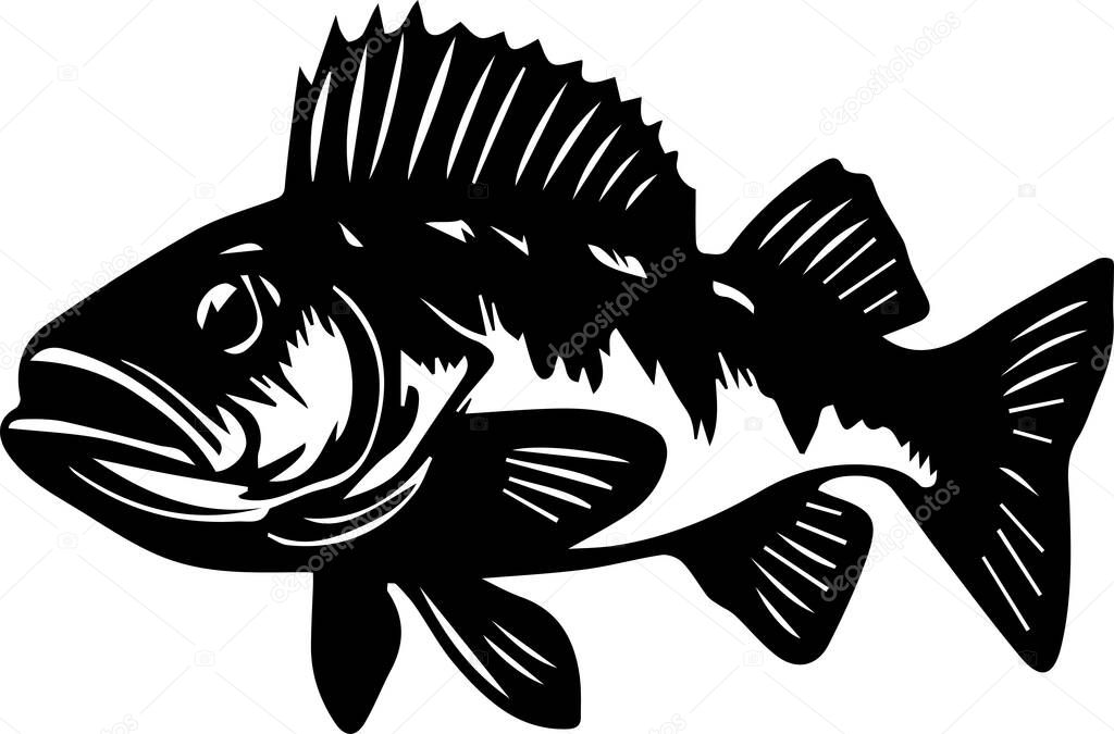 Walleye Fish design isolated on white background eps