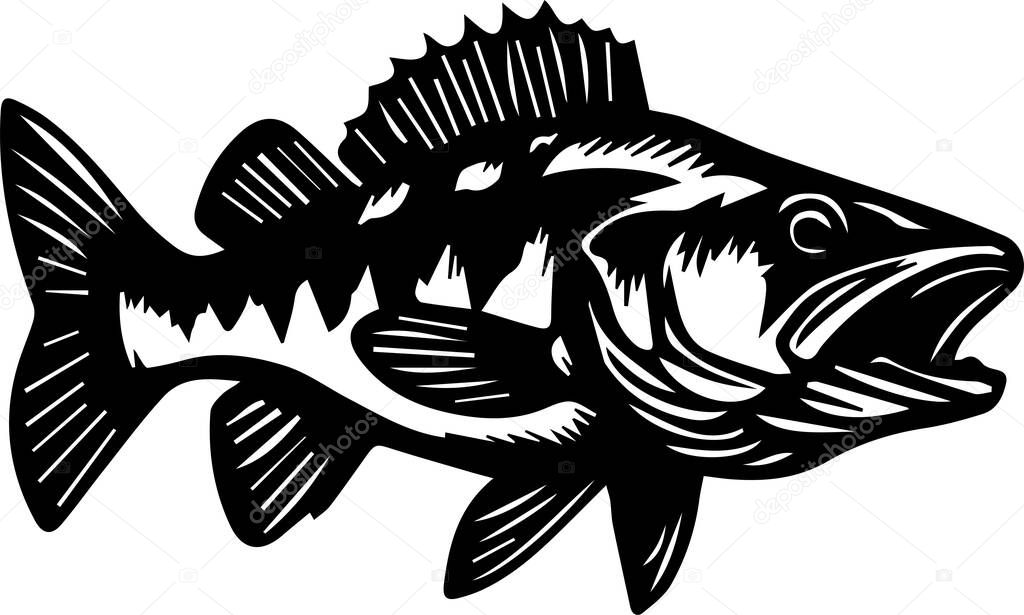 Walleye Fish design isolated on white background eps