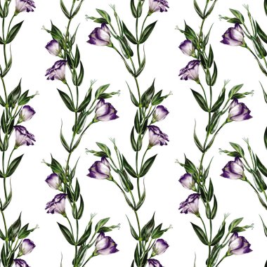 Eustoma çiçekleriyle kusursuz desen. Lisianthus çiçeği ya da çan çiçeği. Yapraklar ve saplar yeşildir. Beyaz ve mor. Geçmişi yok. Suluboya çizimi. 