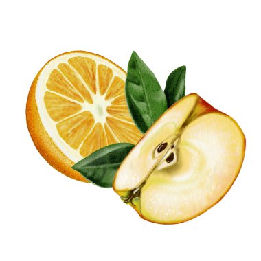 Meyveli kompozisyon. Bir elma dilimi ve yarım portakal. Yeşil yapraklı sulu meyveler. Sarı, turuncu, kırmızı ve yeşil. Arkaplansız suluboya resimleme. 