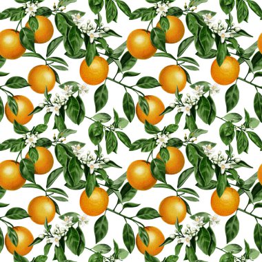 Kusursuz desen. Portakal bitkisi. Yapraklı ve çiçekli dallar bir şablona bağlıdır. Turunçgil meyvesi. Portakallar sulu renkli portakallardır. Suluboya çizimi. Arkaplan yok. 
