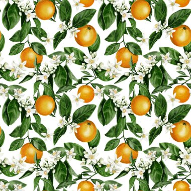 Kusursuz desen. Portakal bitkisi. Yapraklı ve çiçekli dallar bir şablona bağlıdır. Turunçgil meyvesi. Portakallar sulu renkli portakallardır. Suluboya çizimi. Arkaplan yok. 