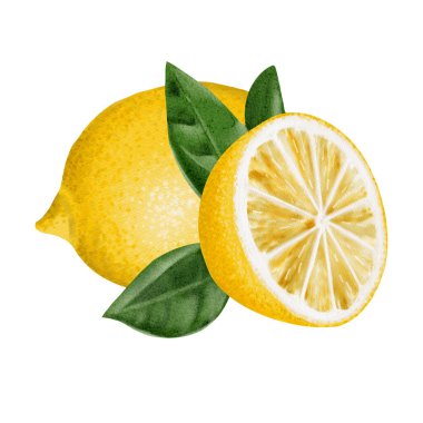 Yaprakların yanında tam bir limon ve yarım limon. Sulu turunçgiller yeşil yapraklı sarı renktedir. Fenerden izole edilmiş suluboya çizimi. Paketleme için bileşim. 