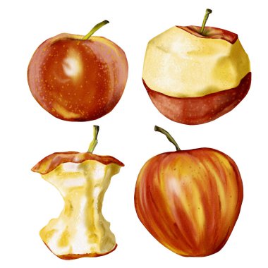 Elmalar kırmızı ve sulu. Meyve seti. Tam elma, soyulmuş elma, kırmızı ve sarı kabuklu çekirdek ve elma. Arkaplansız suluboya resimleme. 