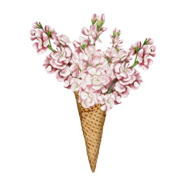 Bahar buketi. Dondurma külahında pembe çiçekler. Çiçekli tatlı. Mathiolla çiçekleri. Geçmişi olmayan suluboya resimler. Retro vintage tarzı. Pastel renkler. Bahar ya da yaz kartı. 