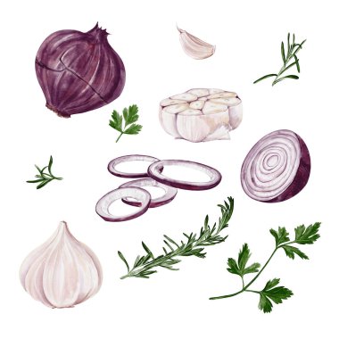  Soğanlı, sarımsaklı ve otlu. Kırmızı soğan halkalar ve sarımsak karanfilleri şeklinde kesilmiş. Biberiye ve maydanoz filizi. Bitki yaprakları. Suluboya çizimi arkaplandan izole edildi. Yüksek kaliteli illüstrasyon