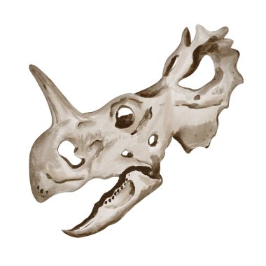 Dinozor kafası. Dinozor iskeletinin izini sürüyorum. Tarih öncesi hayvan kafatası. Fosil ve obje. Suluboya çizimi arkaplandan izole edildi. Yüksek kaliteli illüstrasyon