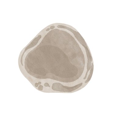 Suluboya lekesi. Bej rengi taş. Sıvı birikintisi. Farklı tarih öncesi dönemlere ait zaman katmanları olan fosil. Suluboya çizimi. Arka plan, el çizimi. Yüksek kaliteli illüstrasyon