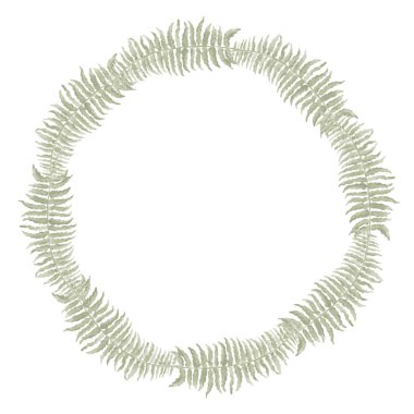 Eğrelti otu yaprağı çelengi. Büyük oyulmuş yapraklar. Otların yuvarlak bileşimi. Bitki çerçevesi. Geçmişi olmayan suluboya resimler. El çizimi. Yüksek kaliteli illüstrasyon