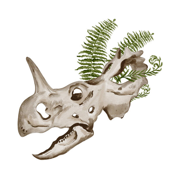Череп динозавра Трацератопса. Ферн растет в скелете. Древнее ископаемое. Кости и растения. Акварельная иллюстрация без фона. Ручной рисунок Высокое качество иллюстрации