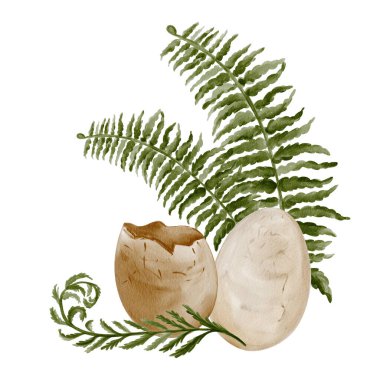  Otlu yumurta. Tarih öncesi fosiller. Eğrelti otunda dinozor yumurtaları. Bitki yaprakları ve kırık sürüngen yumurtaları. Geçmişi olmayan suluboya resimler. El çizimi. Yüksek kaliteli illüstrasyon