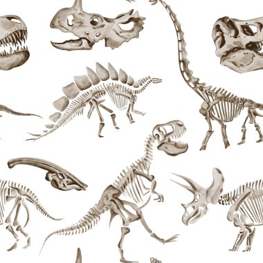  Kusursuz desenli dinozor iskeletleri. Traceratops, Theranosaurus ve Diplodocus kafatasları. Farklı türde dinozorlar. Kemikler ve fosiller. Suluboya çizimi. El çizimi. Yüksek kaliteli illüstrasyon