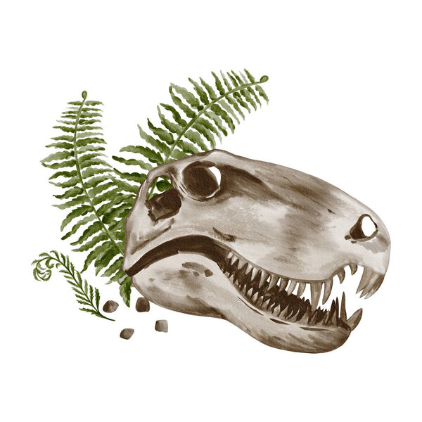 Голова диметродона украшена растениями. Череп динозавра с папоротником. острые зубы. Скелет хищника. Акварельная иллюстрация изолирована от фона. Ручной рисунок Высокое качество иллюстрации