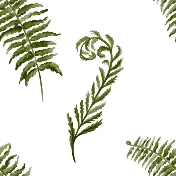 Eğreltiotu yaprakları ve dalları olan kusursuz bir desen. Orman bitkisi. Yeşil otlar. Geçmişi olmayan suluboya resimler. El çizimi. Kumaş ve tekstil için. Yüksek kaliteli illüstrasyon