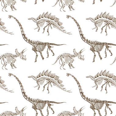 Dinozor iskeletleriyle kusursuz desen. Traceratops ve diplodocus. Tarih öncesi sürüngenler ve hayvanlar. Jurasik dönemin kemik ve fosilleri. Geçmişi olmayan suluboya resimler. El çizimi.