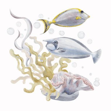 Egzotik tropikal balıklar mercan resiflerinin yakınında yüzerler. Yosun ve deniz bitkileri. Laminaria deniz tabanında yetişir. Arka planda hava kabarcıkları var. Geçmişi olmayan suluboya resimler. El çizimi. 