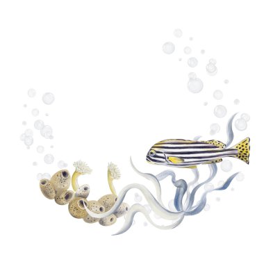 Çelenk, tropikal balıklar ve yosunlarla süslenmiş. Deniz süngeri ve ektinya. Baloncuklar. Çizgili egzotik balık. Suluboya çizimi arkaplandan izole edildi. El çizimi. Yüksek kaliteli illüstrasyon