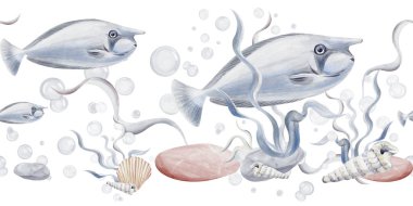 Mavi tropikal balıklarla kusursuz bir sınır. Altta çakıl ve yosun var. Raucski ve yumuşakçalar çok renkli. Suyun altında kabarcıklar. Geçmişi olmayan suluboya resimler. El çizimi. 