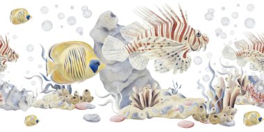 Tropikal balıklarla kusursuz bir sınır. Çizgili kırmızı. Aslan balığı ve büyük sarı. Mercan kayalıkları. Çakıl taşları ve deniz. Okyanus ve akvaryum. Geçmişi olmayan suluboya resimler. El çizimi. 