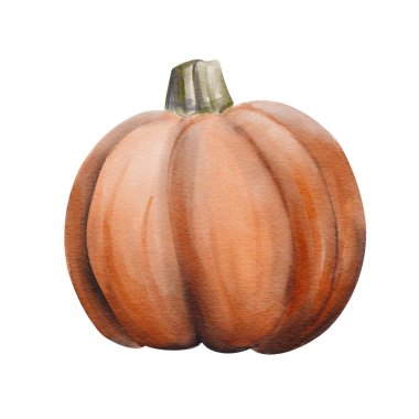 Turuncu olgun balkabağı. Orta boy. Cadılar Bayramı dekoru. Sonbahar hasadı. Yüz oyma için korkunç kasvetli sebzeler. Suluboya çizimi arkaplandan izole edildi. El çizimi Yüksek kalite resimleme