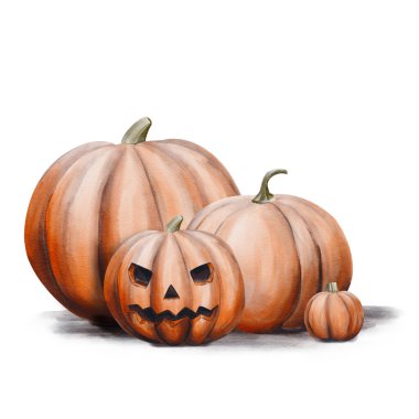 Cadılar Bayramı balkabakları. Bir yığın portakal sebzesi. Tatil dekoru. Farklı boyutlarda balkabakları yerde yatar. Vale kafası. Geçmişi olmayan suluboya resimler. El çizimi. 