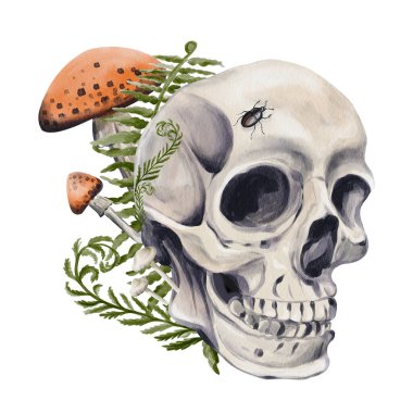 Ormanda insan kafatası. Eğreltiotu ve mantarlar kemiklerin yanında yetişir. Kafatasının üzerinde bir böcek oturuyor. Orman cadısı. Sinek mantarları ve zehirli mantarlar. Geçmişi olmayan suluboya resimler. El çizimi. 